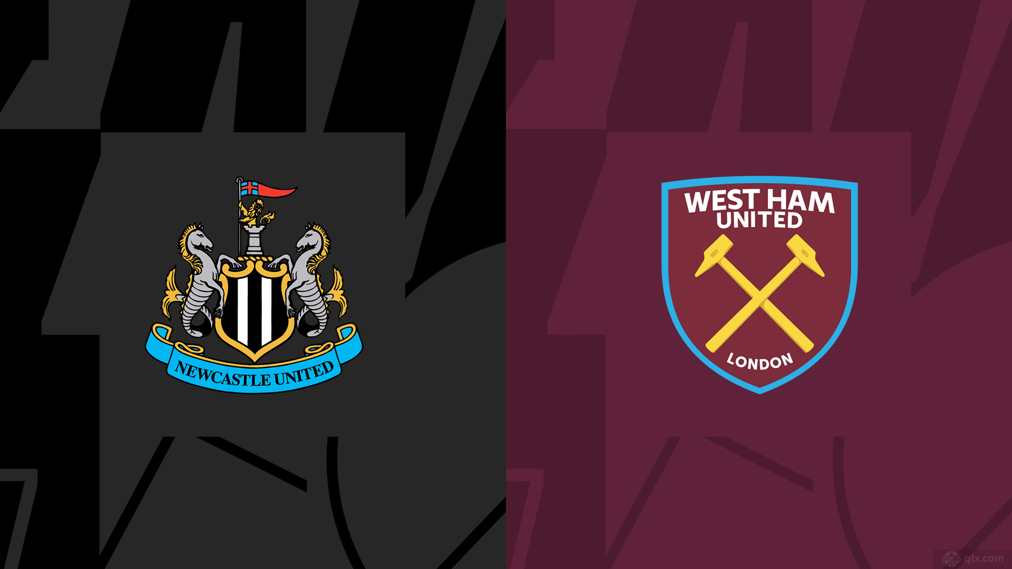 的经纪团队 的经纪团队